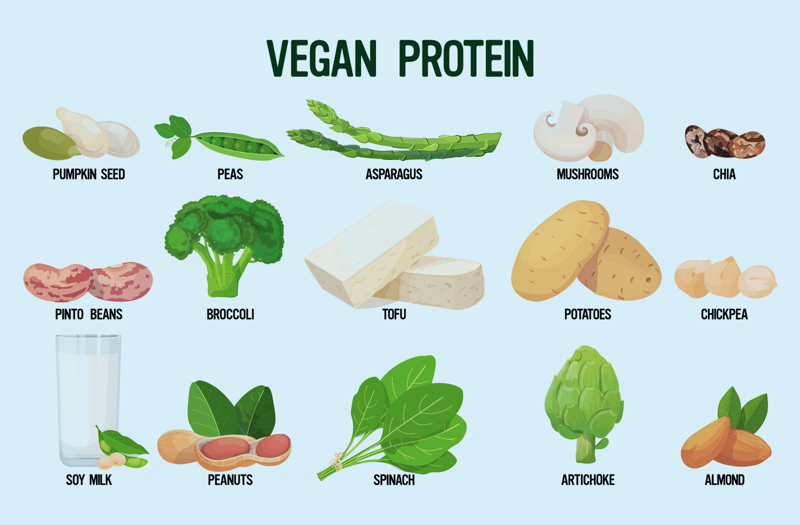 Sources of Vegan Protein